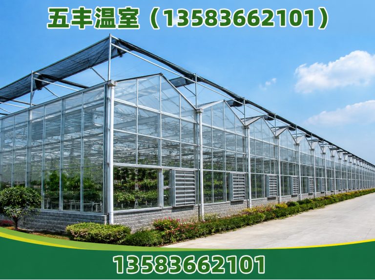 青州市温室工程展示图