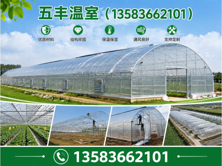 青州市连栋温室展示图